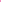 Hot Pink Paisley Print Bandana - Everything Party