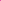 Hot Pink Assorted Bandana - Everything Party