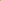 Lime Green Assorted Bandana - Everything Party