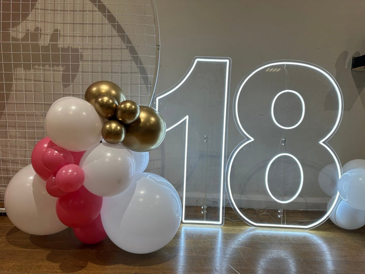 16th Birthday Balloon Garland on 2m Circle Mesh Backdrop With Acrylic Light Up Numbers - Everything Party