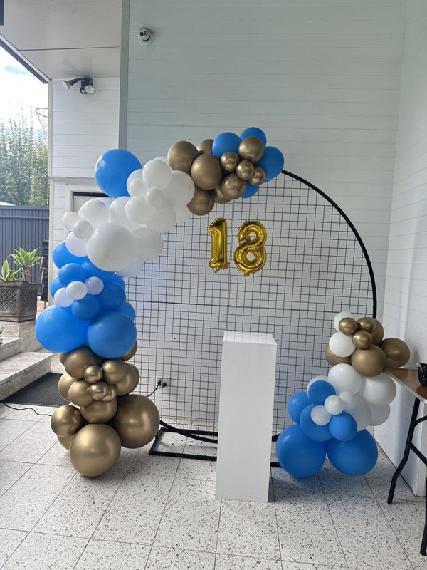18th Birthday Balloon Garland on 2m Circle Mesh Backdrop - Everything Party
