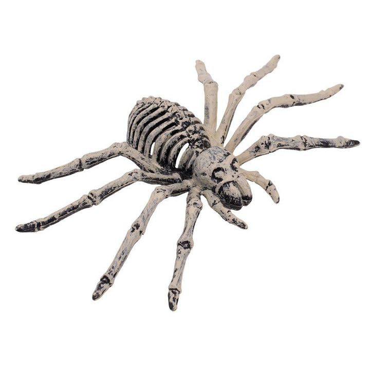 24cm Halloween Spider Skeleton Decoration - Everything Party