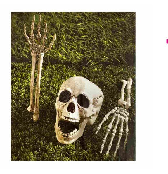 3pcs Lawn Stake Human Skeleton Parts - Everything Party