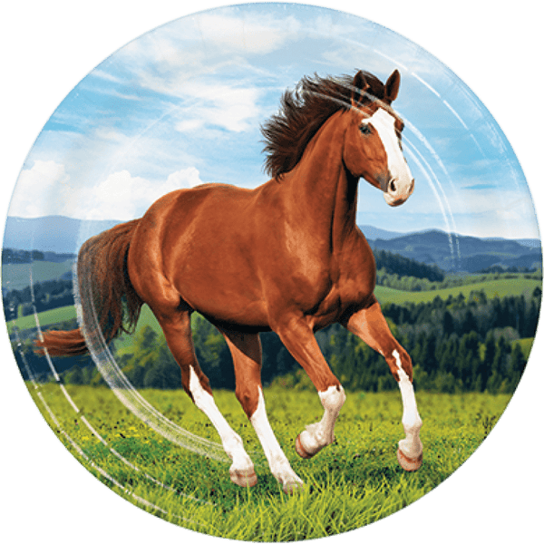 8pk Horse & Pony Paper Dinner Plates – 22cm Party Tableware - Everything Party