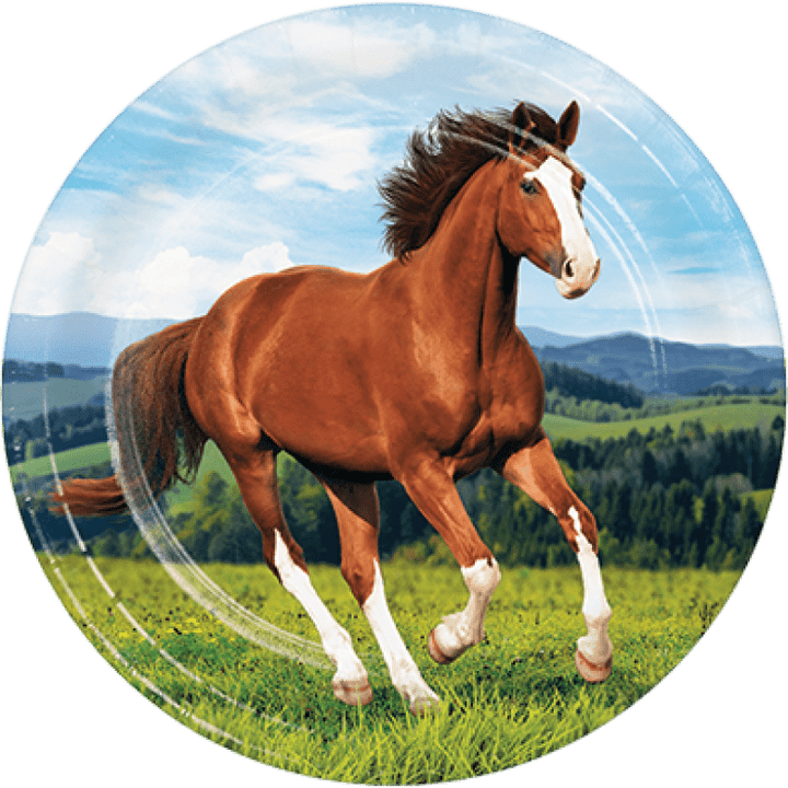 8pk Horse & Pony Paper Dinner Plates – 22cm Party Tableware - Everything Party