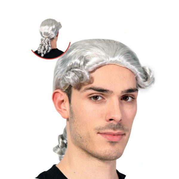 Adult Colonial Judge Wig - Everything Party