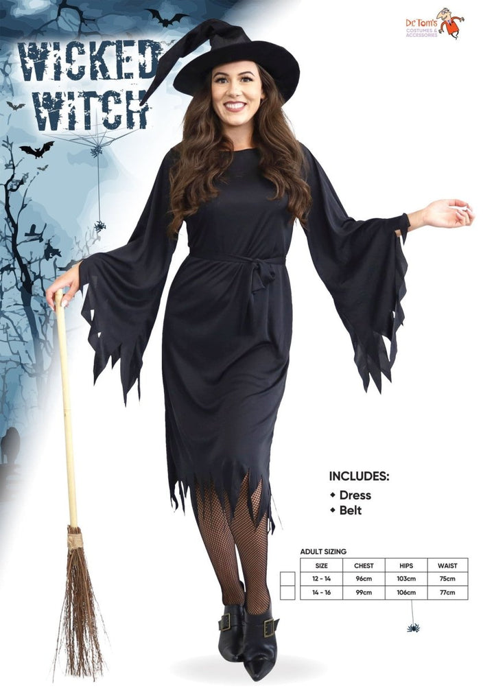 Adult Halloween Standard Wicked Witch Costume - Everything Party