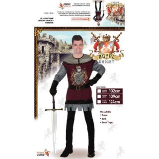 Adult Medieval Royal Knight Costume - Everything Party