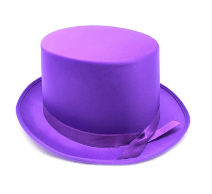 Adult Purple Top Hat - Everything Party