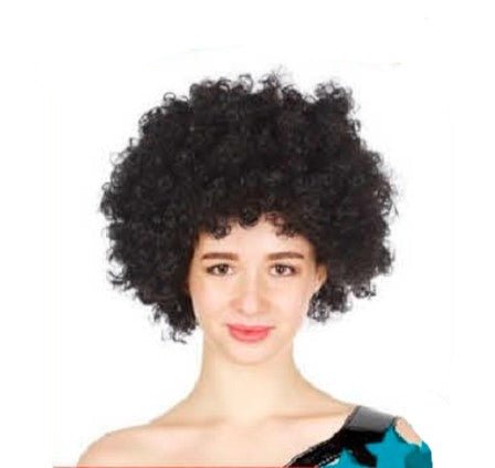 Adult Unisex Black Afro Wig - Everything Party