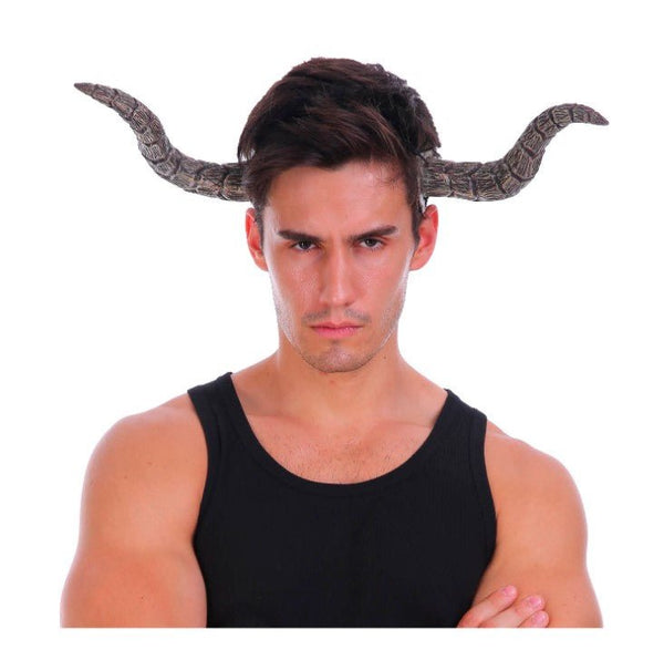 Ram Horn Headband – Adult Costume Accessory - Everything Party