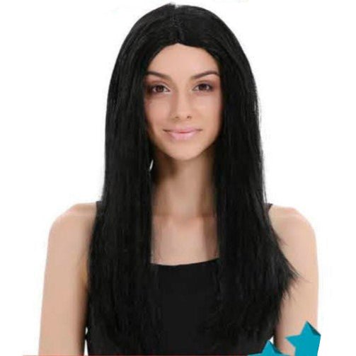 Sleek Long Black Straight Wig - Everything Party
