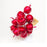12pc Christmas Mini Apple Decoration - Everything Party