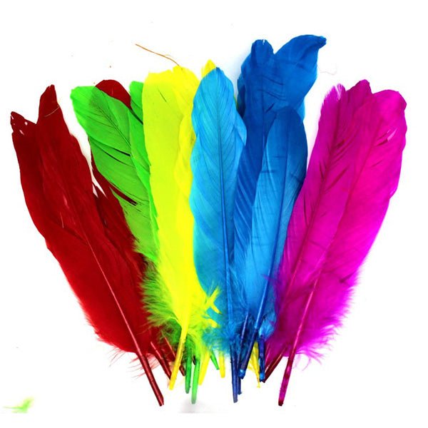 17cm Multi Colour Feather Pack - Everything Party