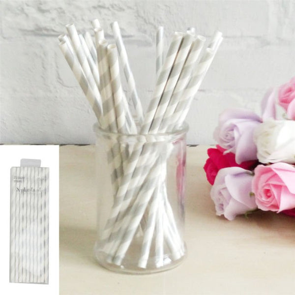 20pk Silver Stripe Paper Straws - Everything Party