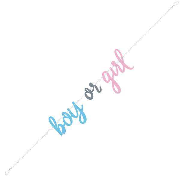 2.13m Gender Reveal Boy or Girl Joint Banner - Everything Party