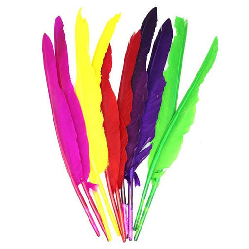 30cm Multi Colour Long Feather Pack - Everything Party