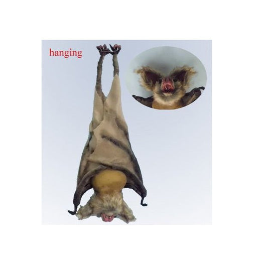 48cm Hanging Brown Bat - Everything Party