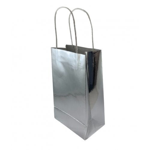 5pk Metallic Silver Paper Party Gift Bags - Everything Party