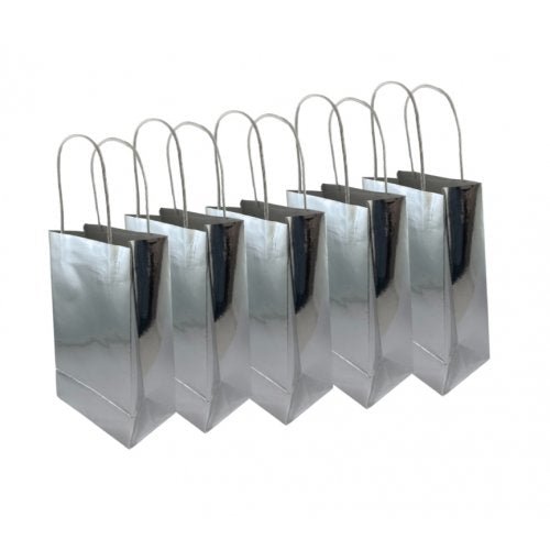 5pk Metallic Silver Paper Party Gift Bags - Everything Party
