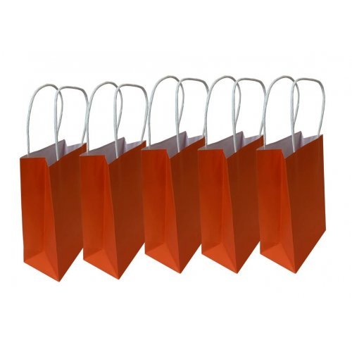 5pk Orange Paper Party Gift Bags - Everything Party