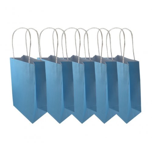 5pk Pastel Blue Paper Party Gift Bags - Everything Party