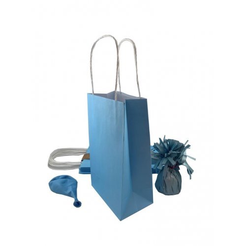 5pk Pastel Blue Paper Party Gift Bags - Everything Party