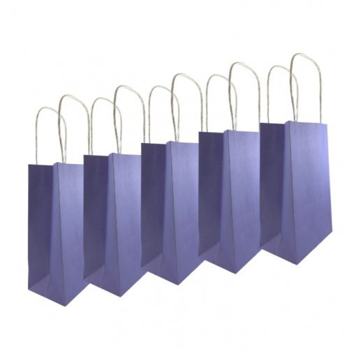 5pk Pastel Lavender Paper Party Gift Bags - Everything Party