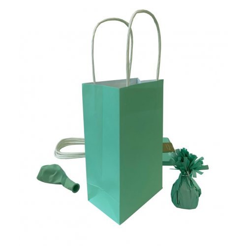 5pk Pastel Mint Paper Party Gift Bags - Everything Party