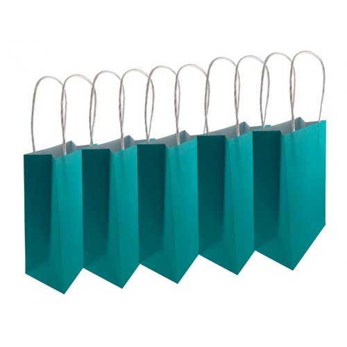 5pk Teal Paper Party Gift Bags - Everything Party