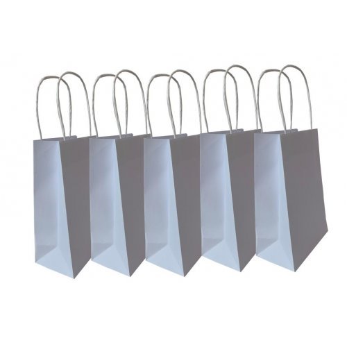 5pk White Paper Party Gift Bags - Everything Party