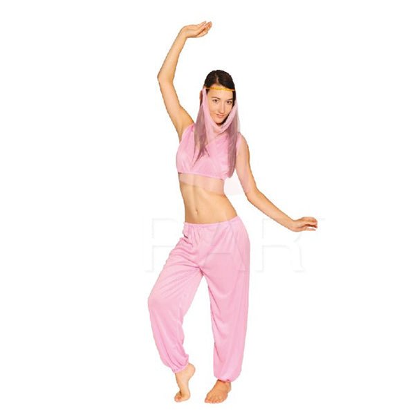 Adult Pink Arabian Princess Costume - Everything Party