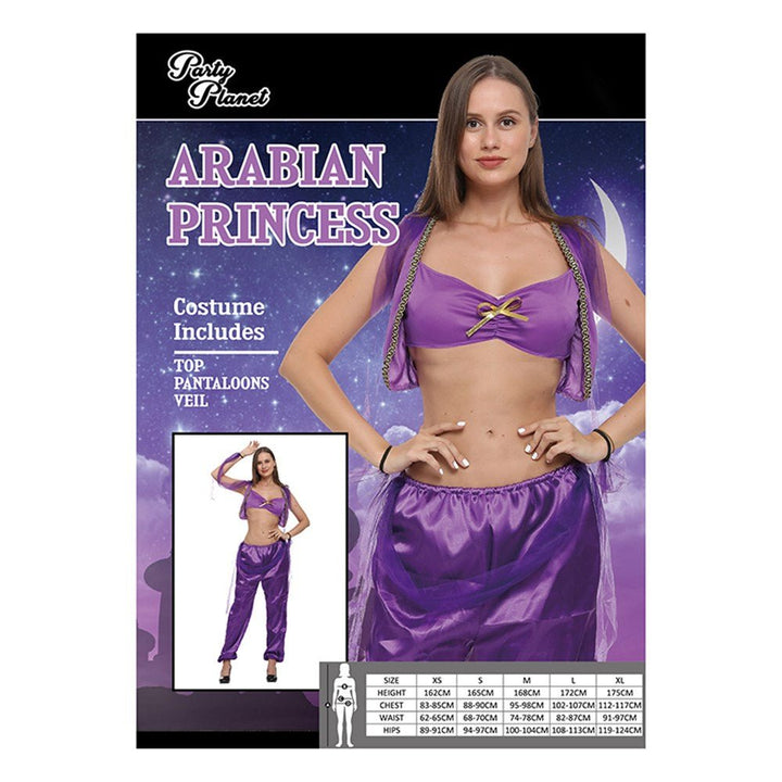 Adult Purple Arabian Princess Costume - Everything Party