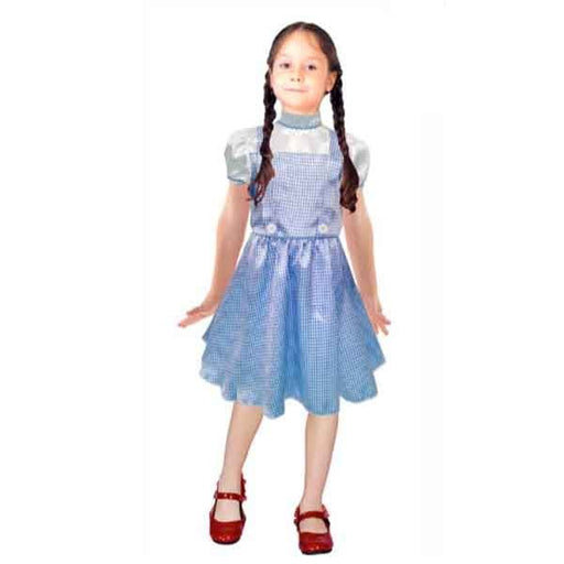 Children Book Week Storybook Dorothy Blue Dress Costume - Everything Party
