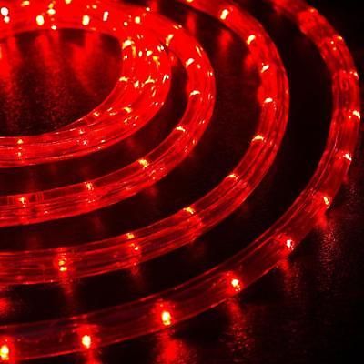 Christmas - 10 Meters LED Rope Lights with 8 function Control - Everything Party