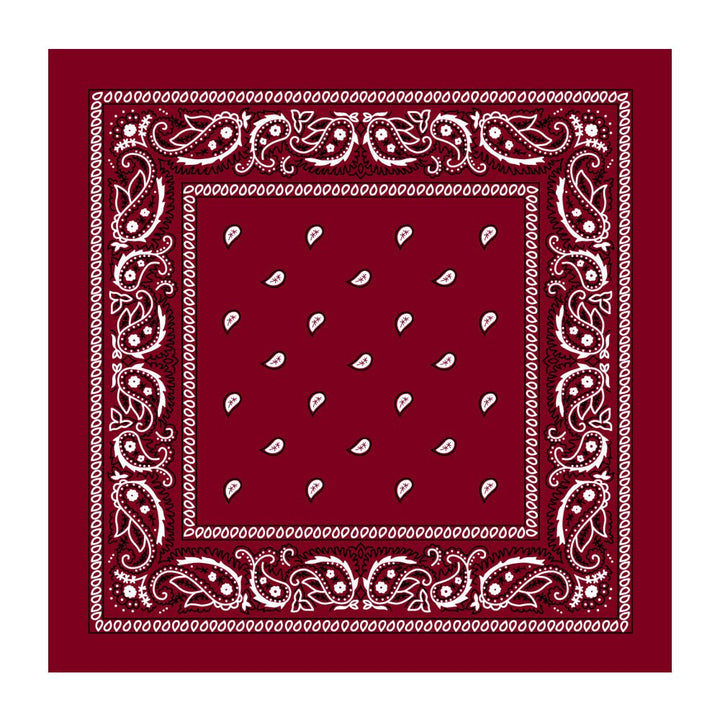 Dark Red Assorted Bandana - Everything Party