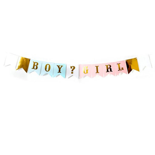 Gender Reveal Boy or Girl Banner - Everything Party