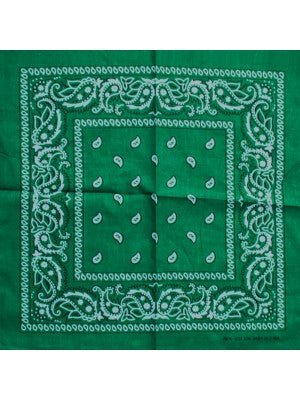 Green Assorted Bandana - Everything Party