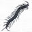 Halloween Creature - 6pk Centipedes - Everything Party