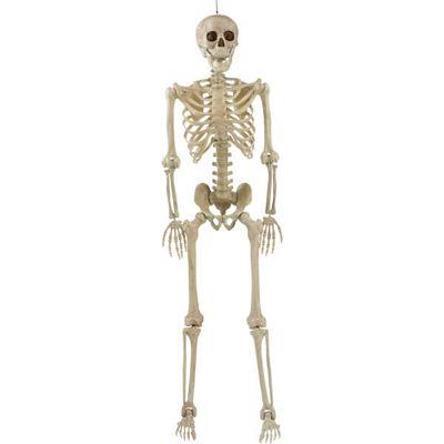 Halloween Life Size 160cm Hanging Skeleton Decoration - Everything Party