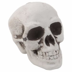 Halloween Mini Skull Decoration - Everything Party
