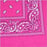 Hot Pink Assorted Bandana - Everything Party