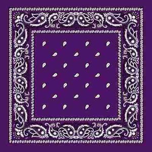 Purple Assorted Bandana - Everything Party