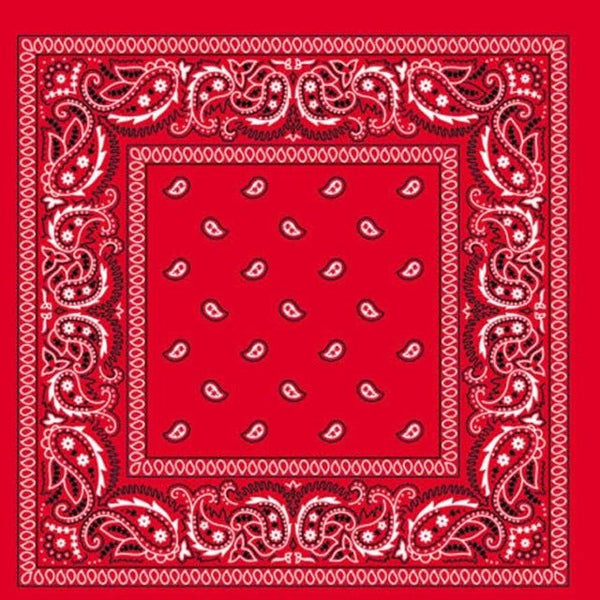 Red Assorted Bandana - Everything Party