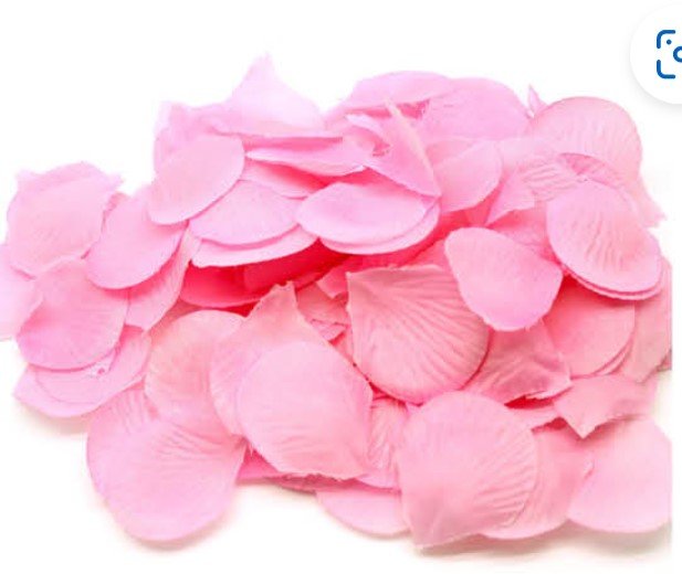 Valentine's Day Fabric Rose Petals - Everything Party