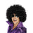 Wig - Black Afro Wig - Everything Party